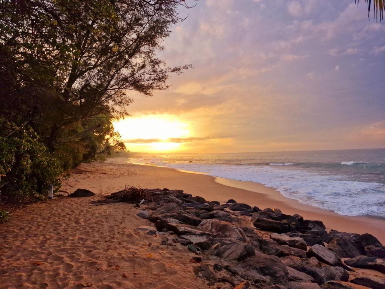 Panorama Beach Hotel Tangalle Eksteriør billede